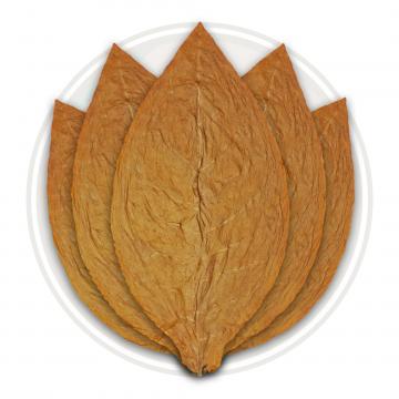 Connecticut Shade Cigar Wrapper Tobacco Leaf